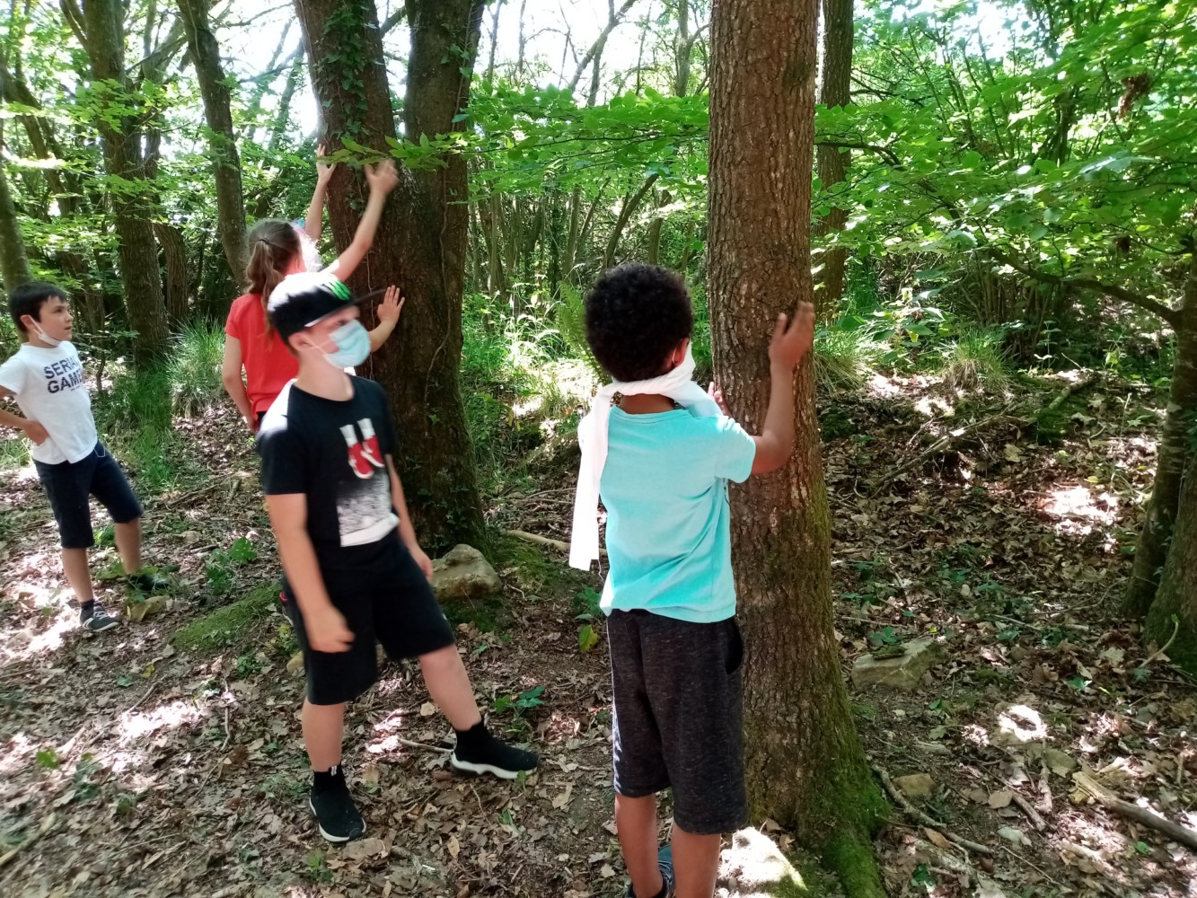 nature 3