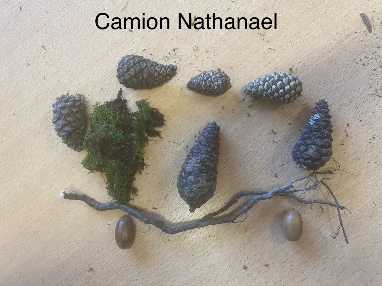land art 10