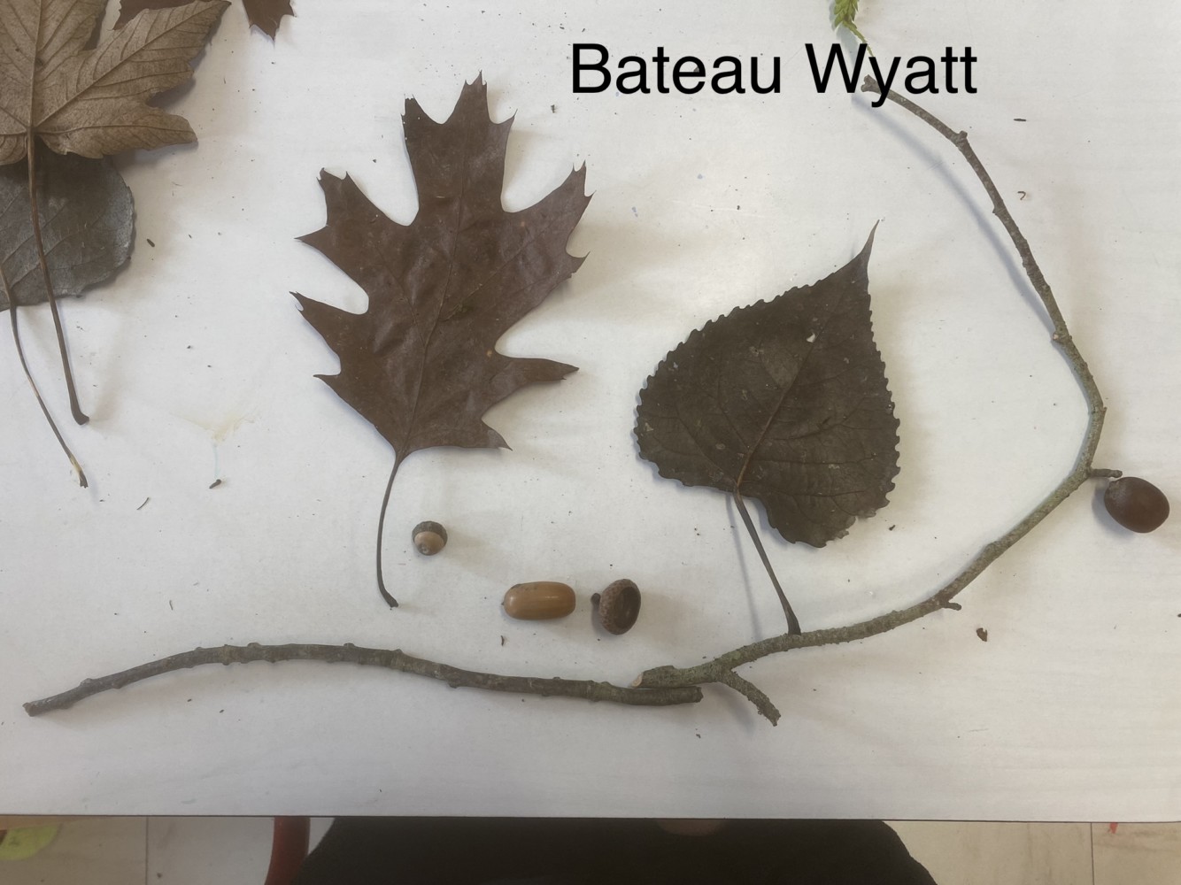 land art 17
