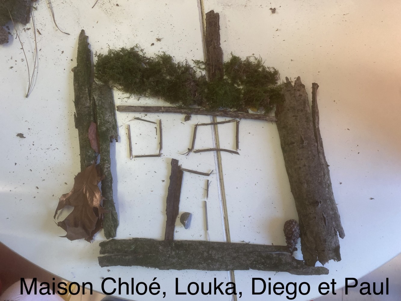 land art 20