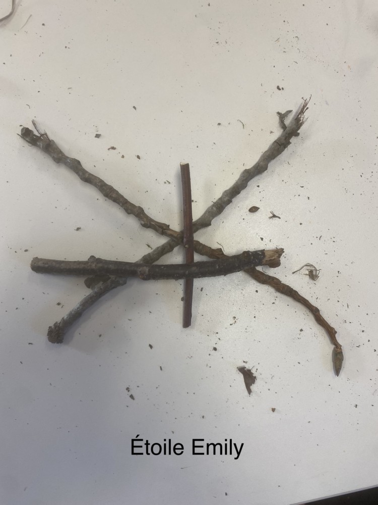land art 21