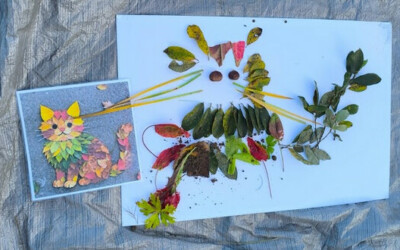 Matinée “école dehors”